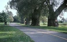 Our Campus